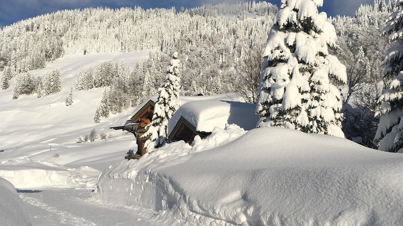 Winterwunderland Winterwunderland